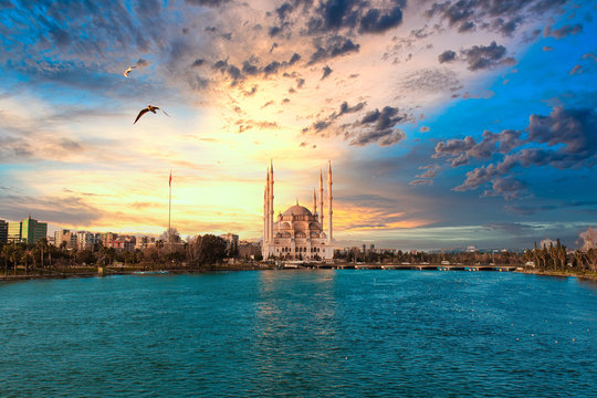 Turkey